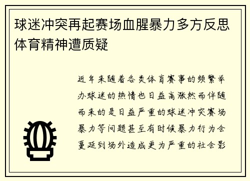球迷冲突再起赛场血腥暴力多方反思体育精神遭质疑